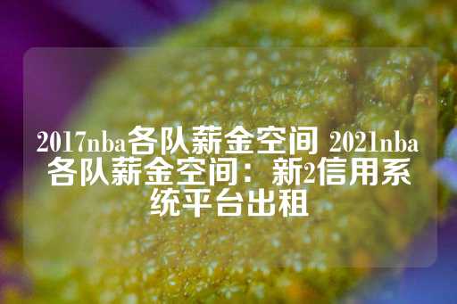 2017nba各队薪金空间 2021nba各队薪金空间：新2信用系统平台出租